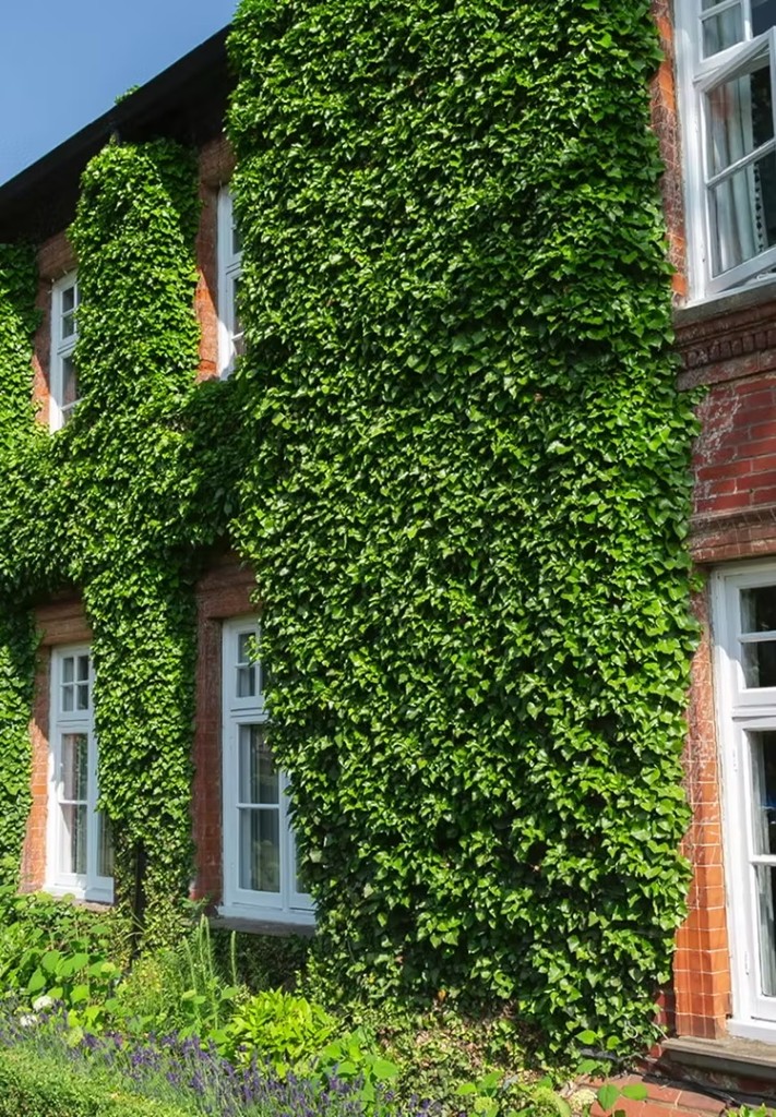 Worlington Hall