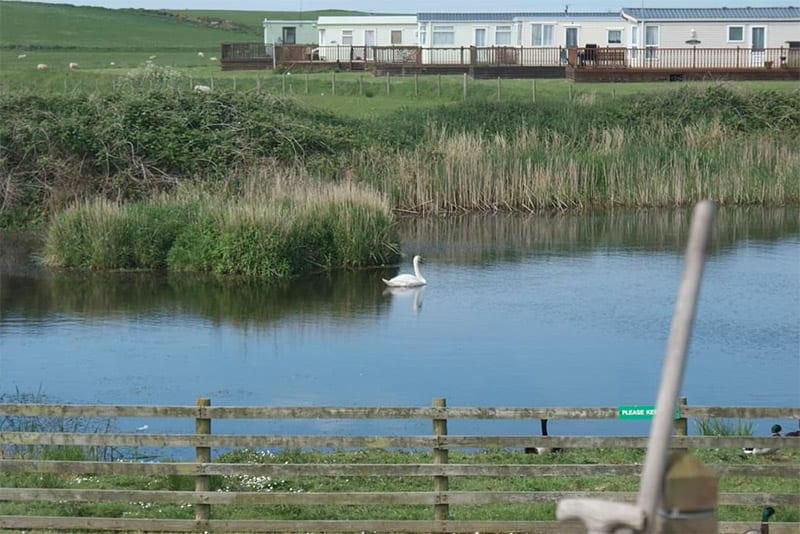 South End Caravan Park