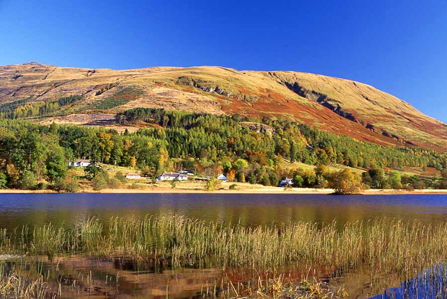 Glen Dochart Holiday Park