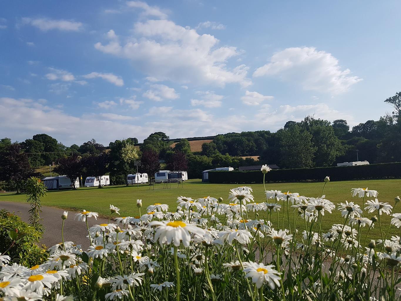 Afon Teifi Caravan & Camping Park