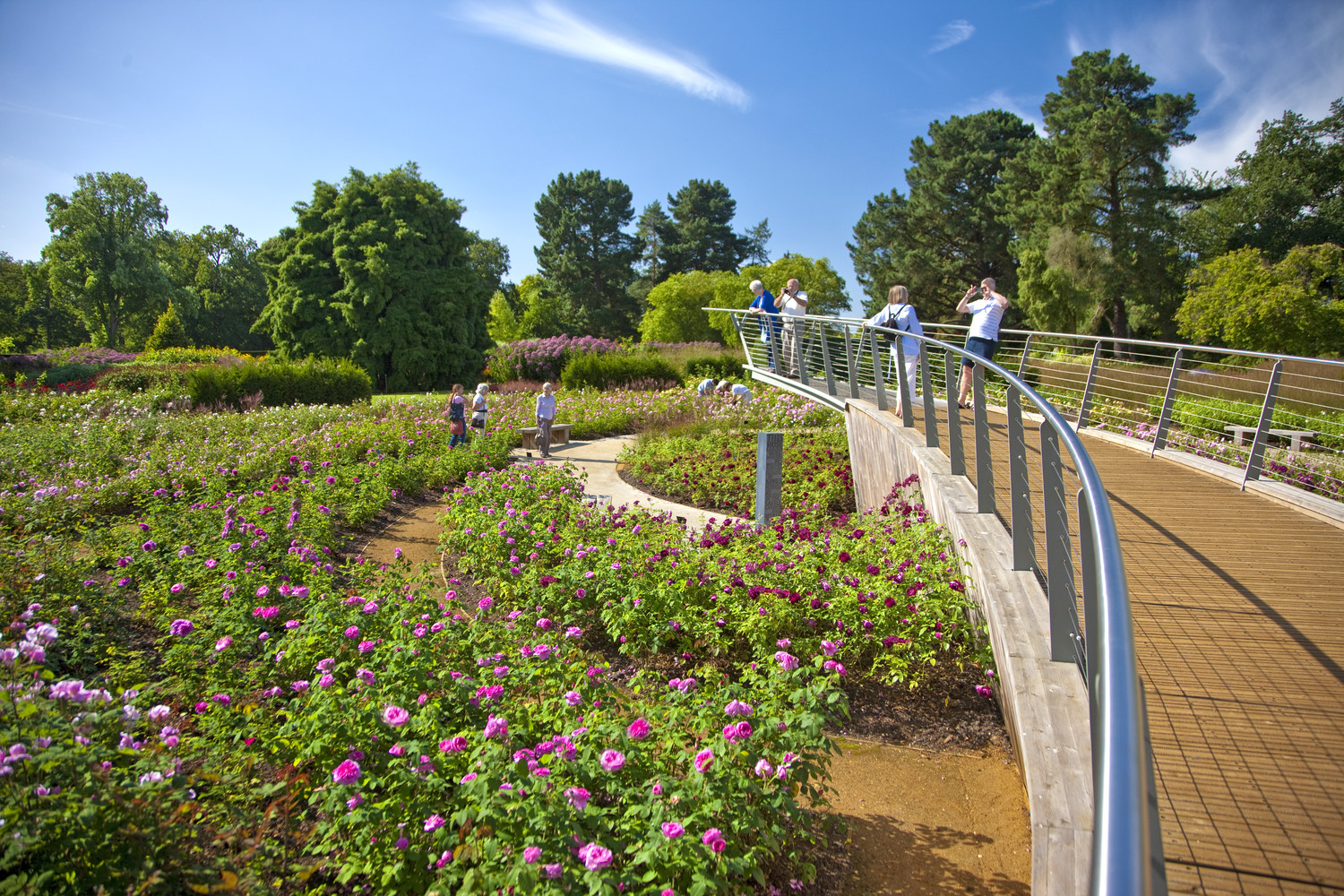 The Savill Garden
