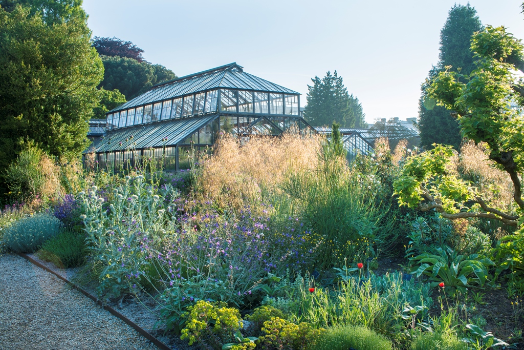 Cambridge University Botanic Garden