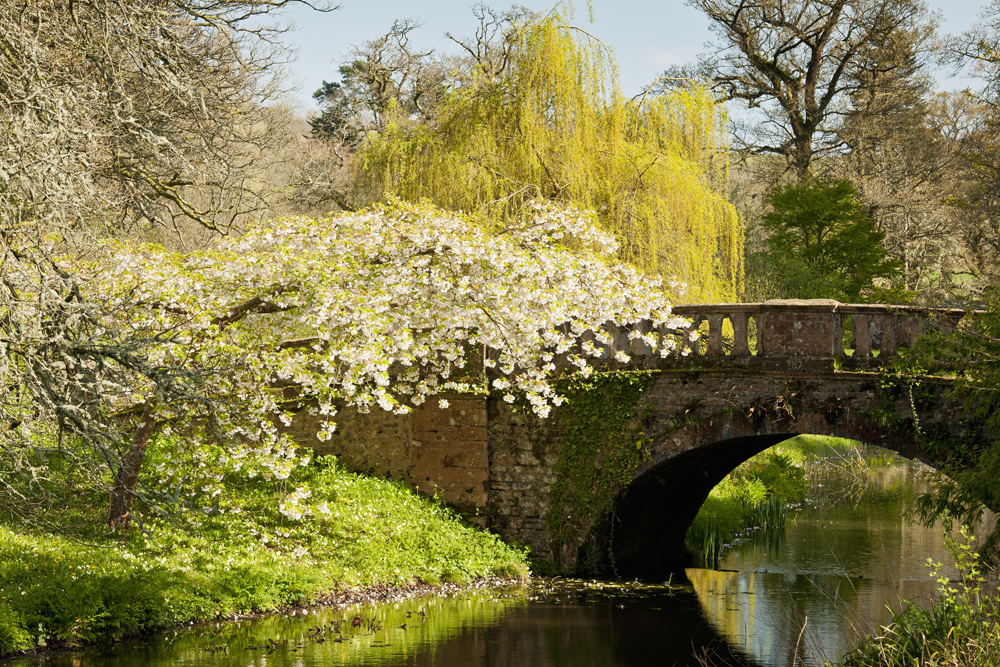 Minterne Gardens