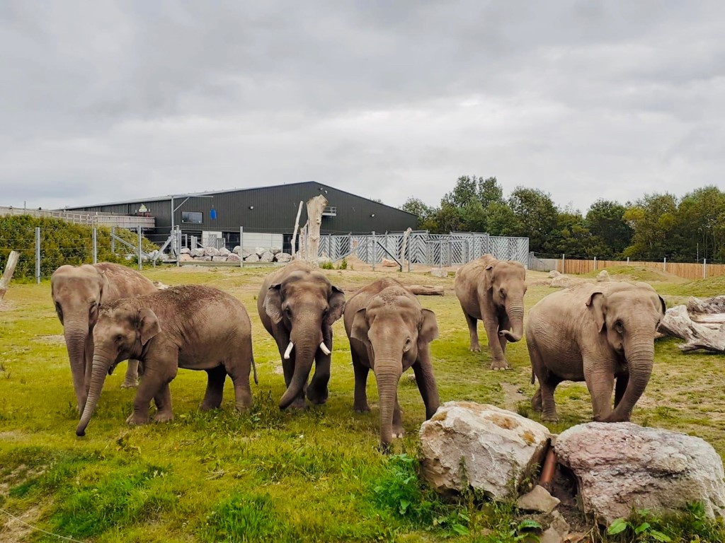 Blackpool Zoo