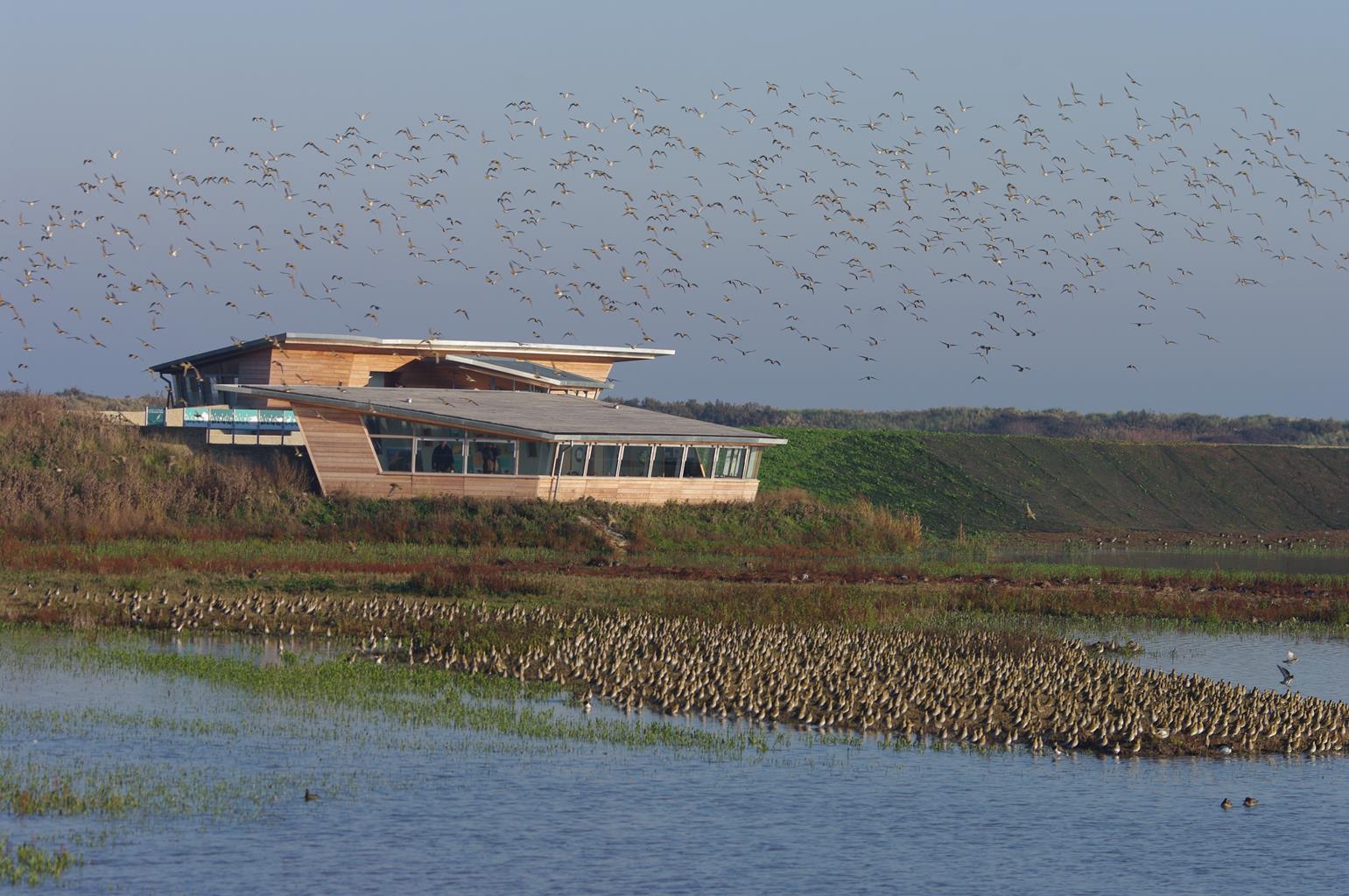 RSPB Nature Reserve Titchwell Marsh