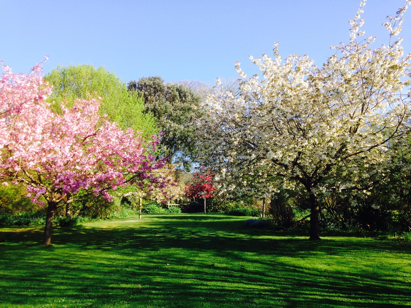 Highdown Gardens