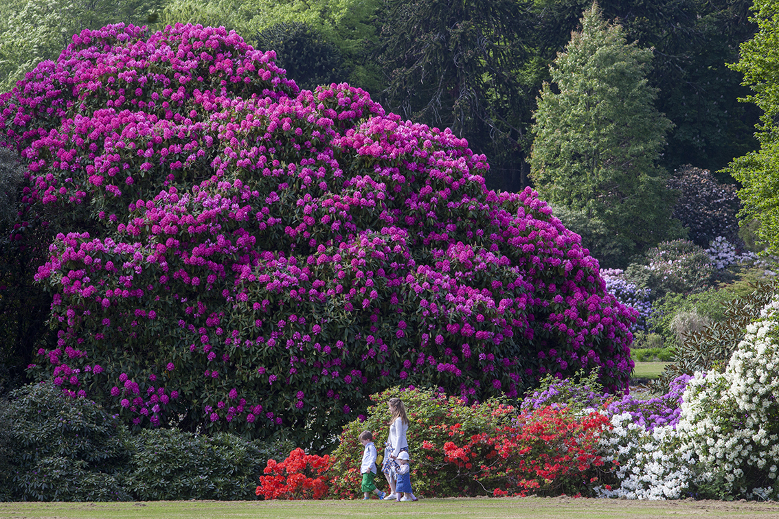Castle Kennedy Gardens
