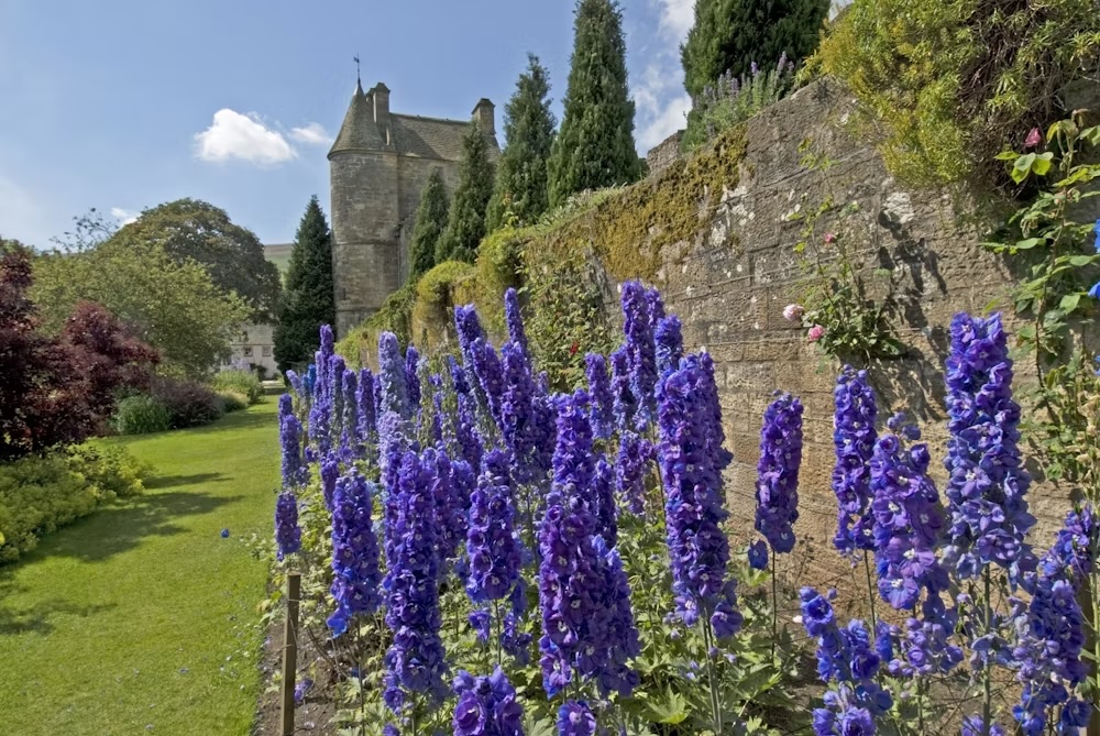 Falkland Palace & Garden