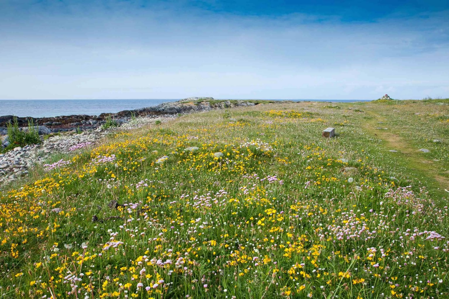 RSPB Balranald