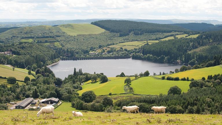 RSPB Lake Vyrnwy