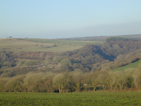 Pengelli Forest National Nature Reserve