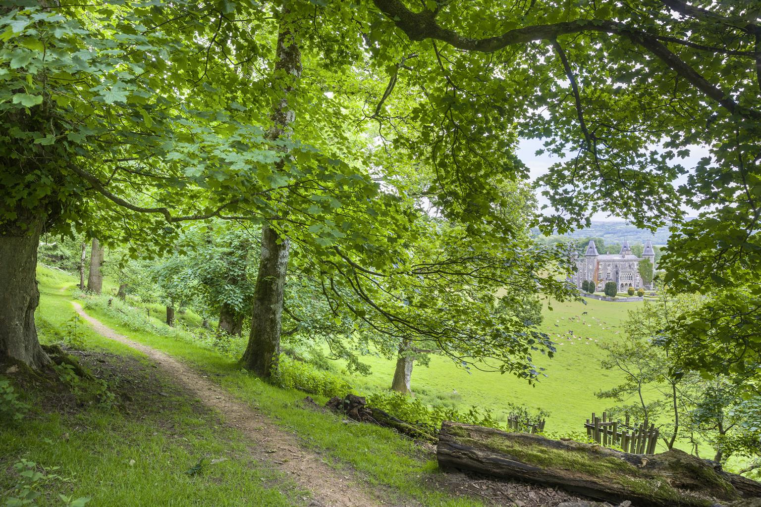 Dinefwr