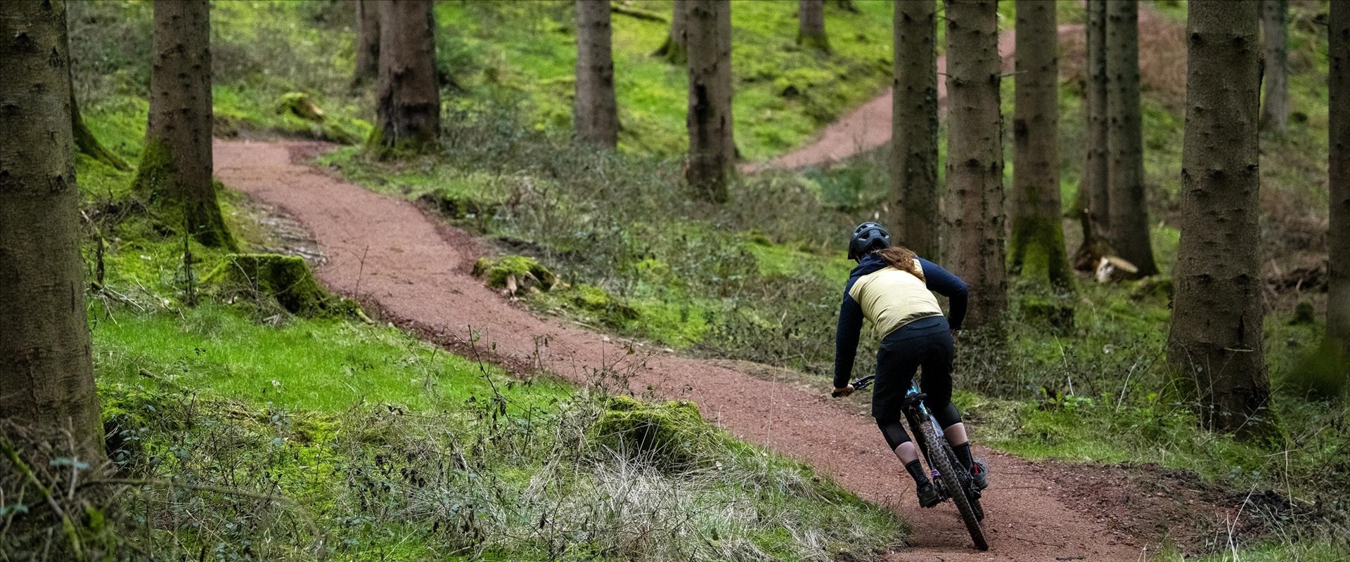 Forest of Dean Cycle Centre