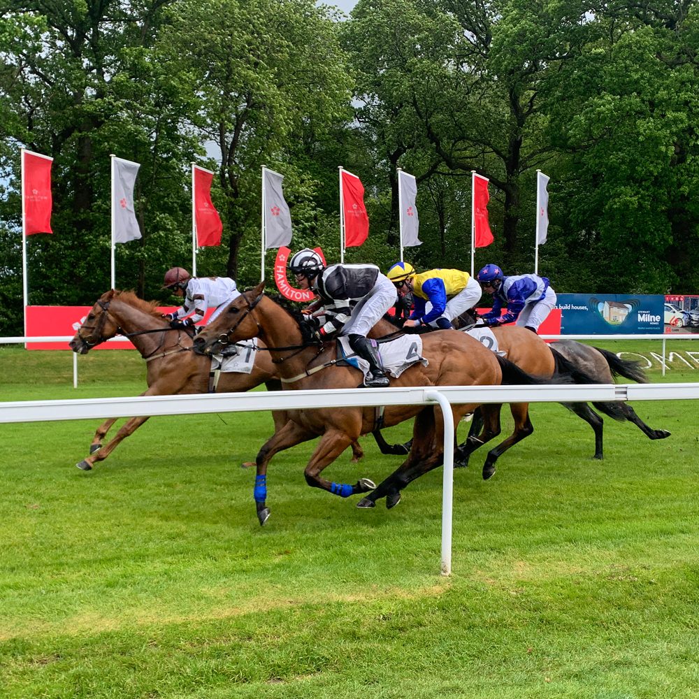 Hamilton Park Racecourse