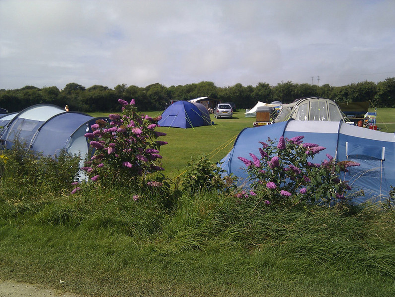 Tom's Field Campsite