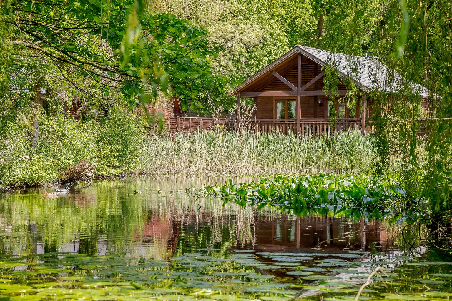 Tilford Woods Lodge Retreat