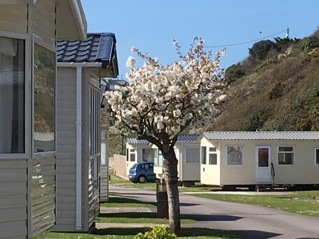 Polzeath Beach Holiday Park