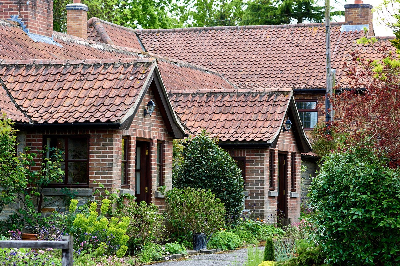 Woodpecker Cottage