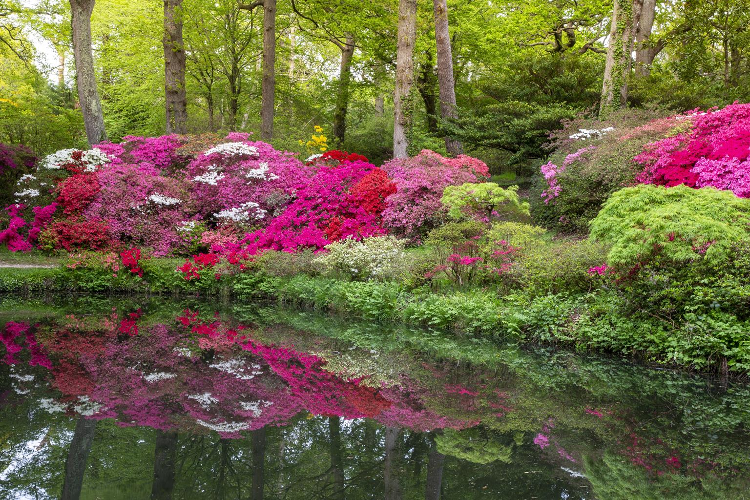 Exbury Gardens & Steam Railway