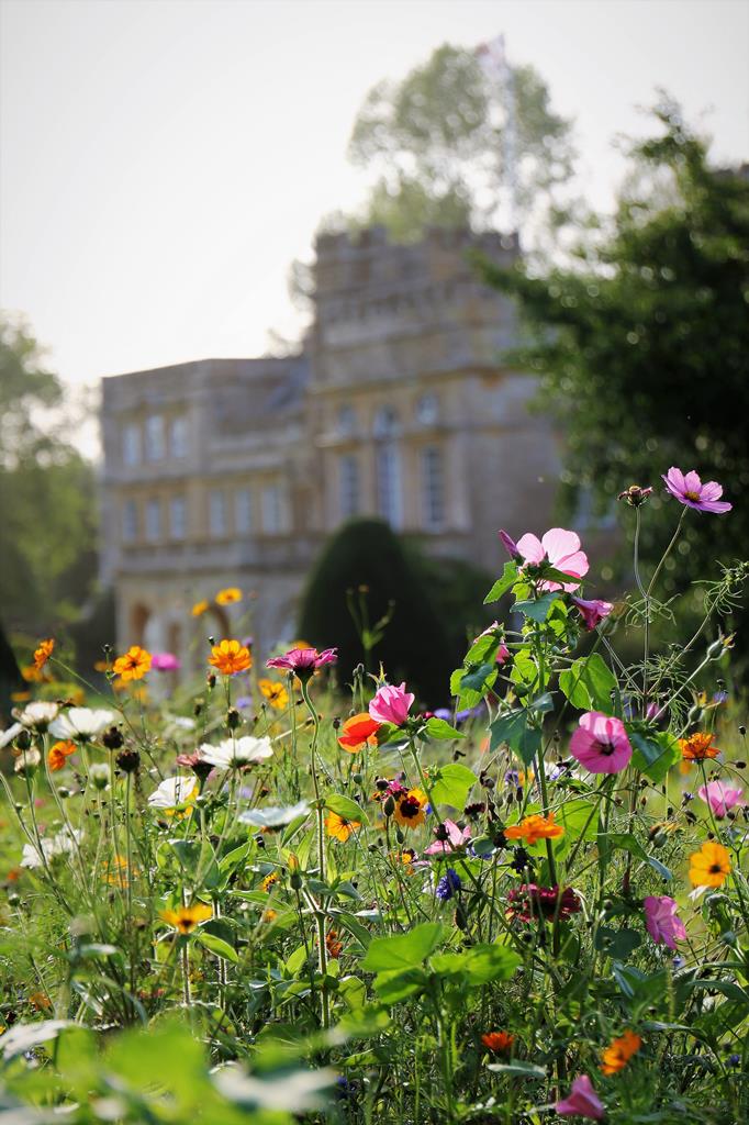 Forde Abbey & Gardens