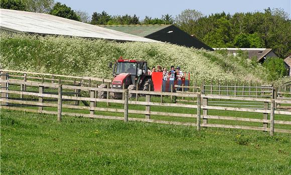 Hall Hill Farm
