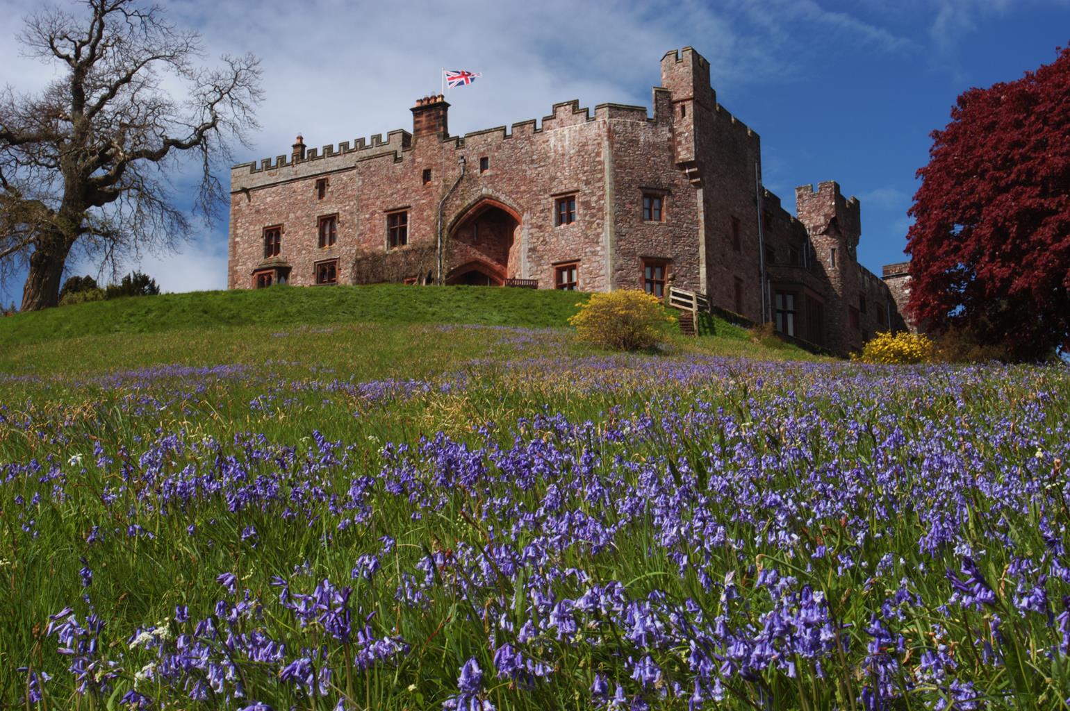 Muncaster Castle, Gardens & Owl Centre
