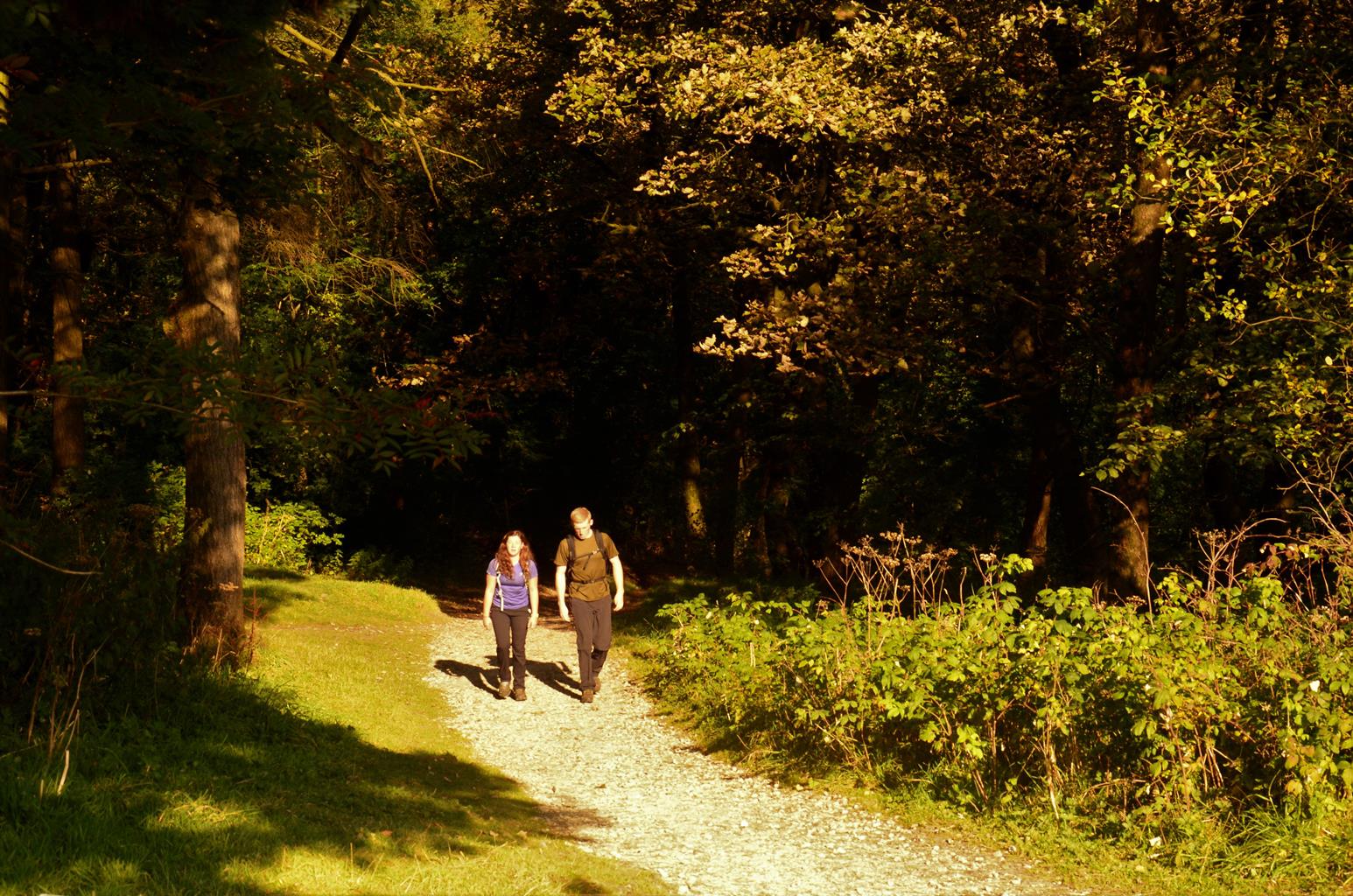 Poole's Cavern & Buxton Country Park