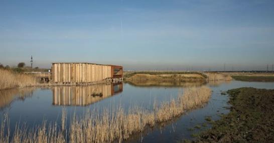 RSPB Rainham Marshes Nature Reserve