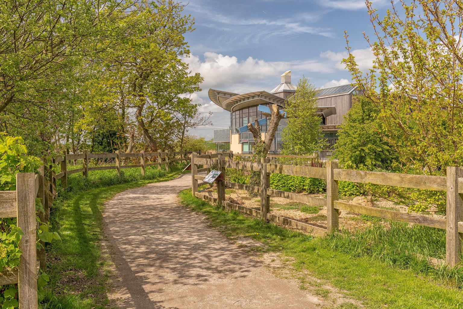 RSPB Saltholme Nature Reserve