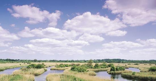 RSPB Strumpshaw Fen Nature Reserve