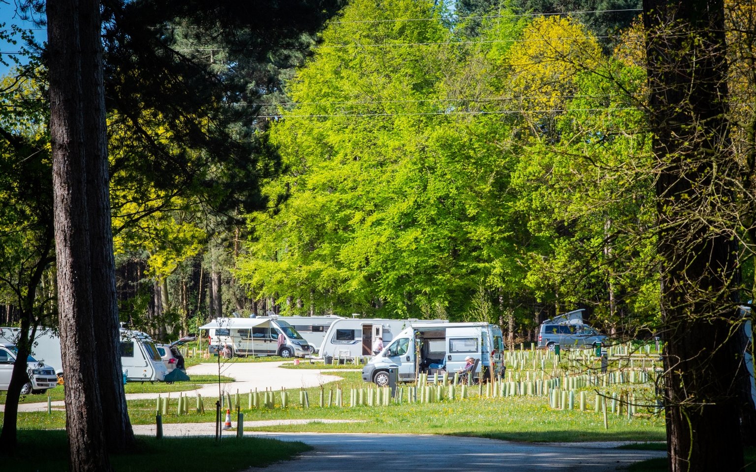 Sherwood Pines