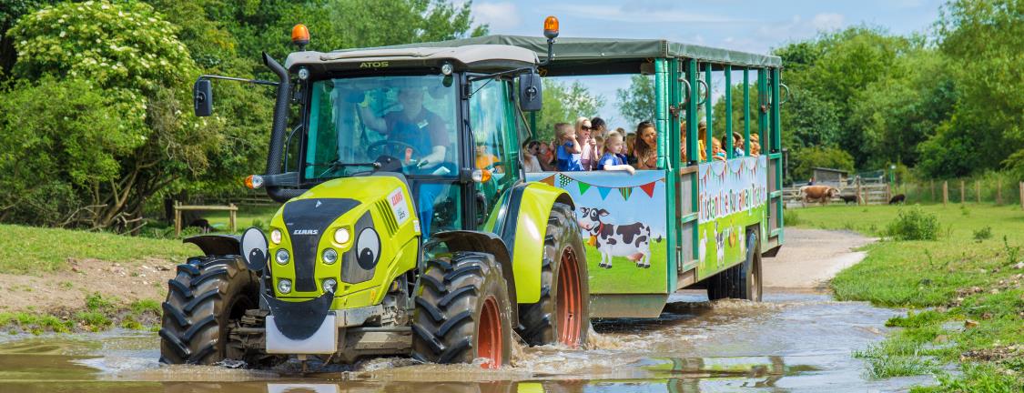 Willows Activity Farm