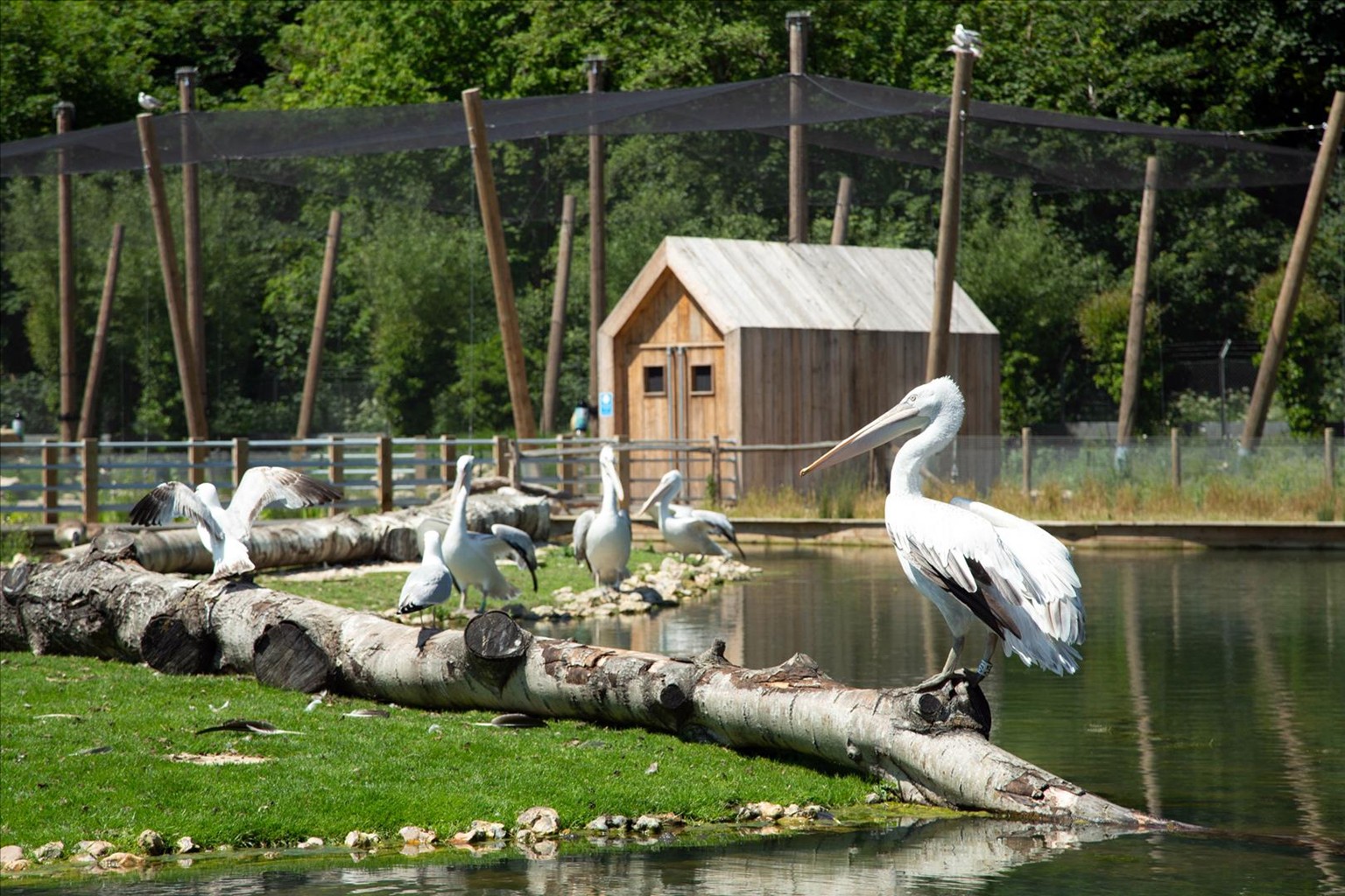 WWT Arundel Wetland Centre