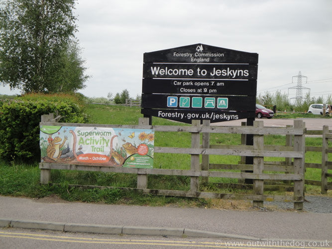 Jeskyns Community Woodland