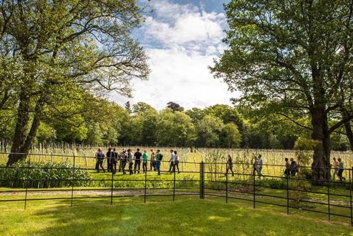 The Bolney Wine Estate