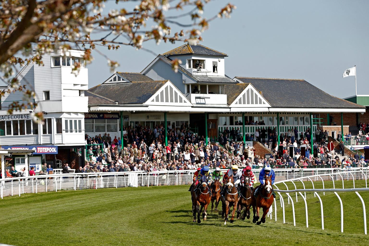 Catterick Racecourse