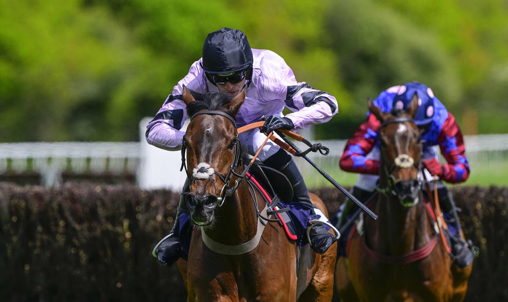 Newton Abbot Racecourse