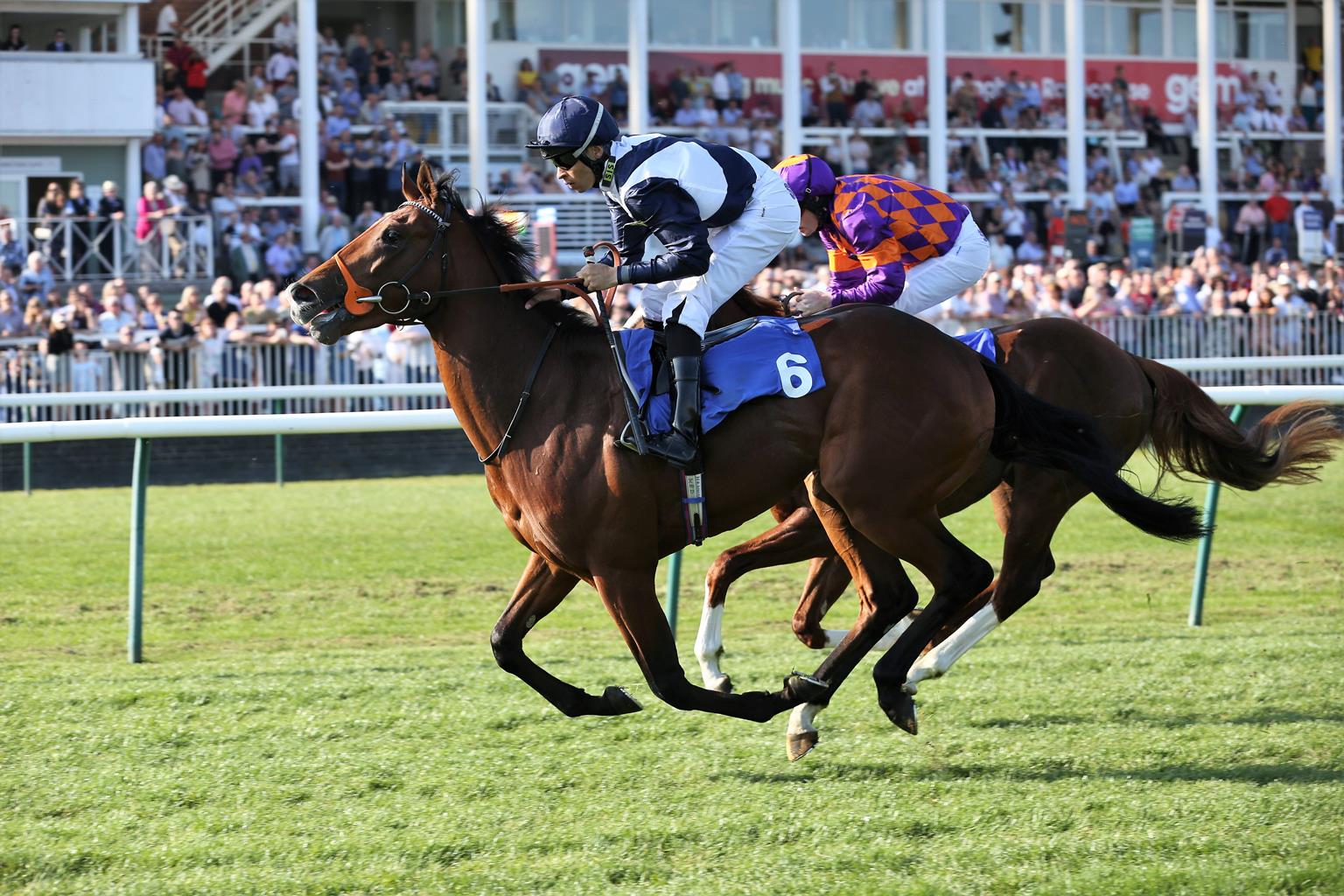 Nottingham Racecourse