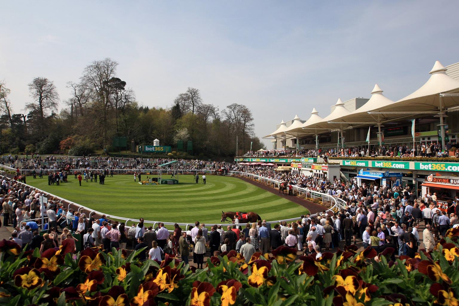 Sandown Park Racecourse