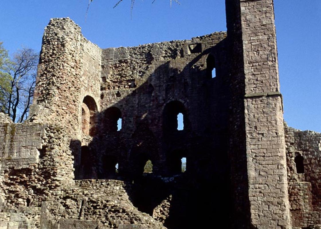 Image 1