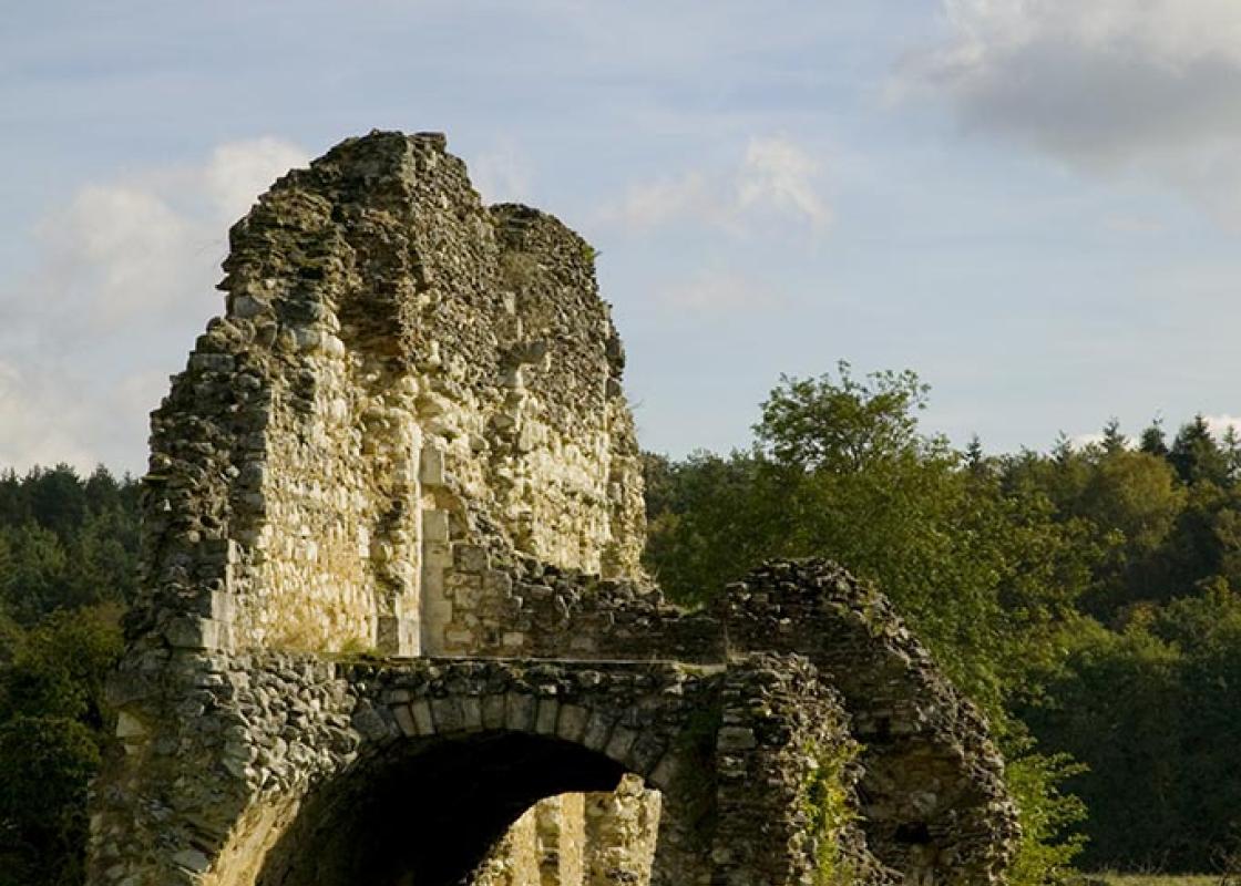 Image 1