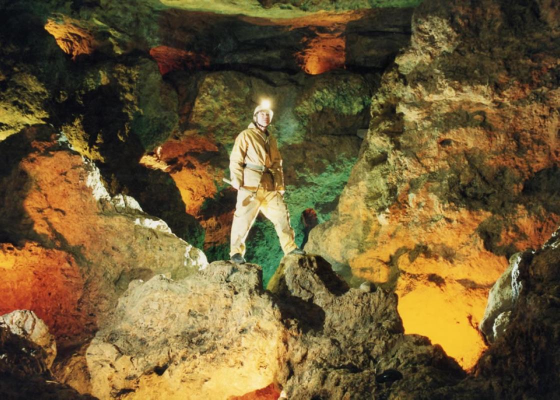 Image 1