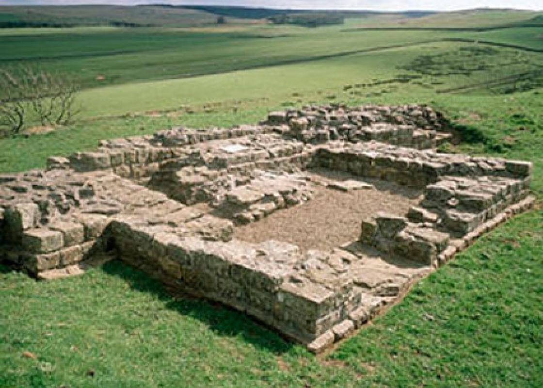 Image 1
