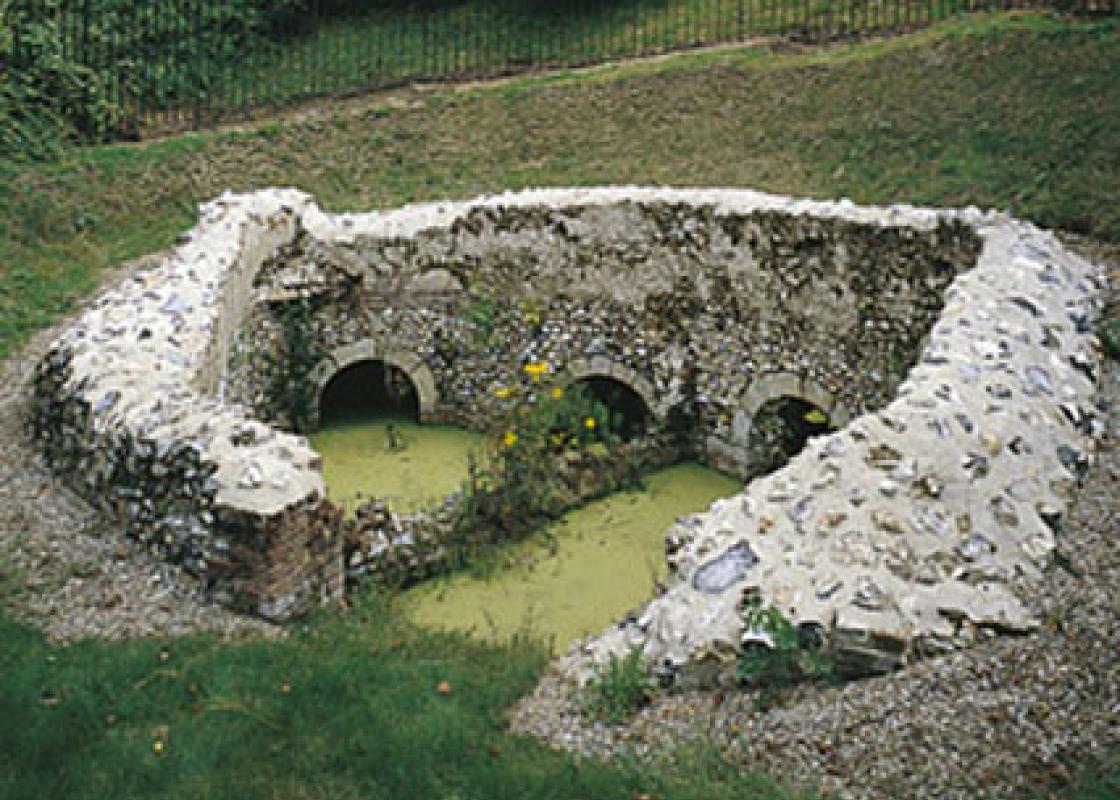 Image 1