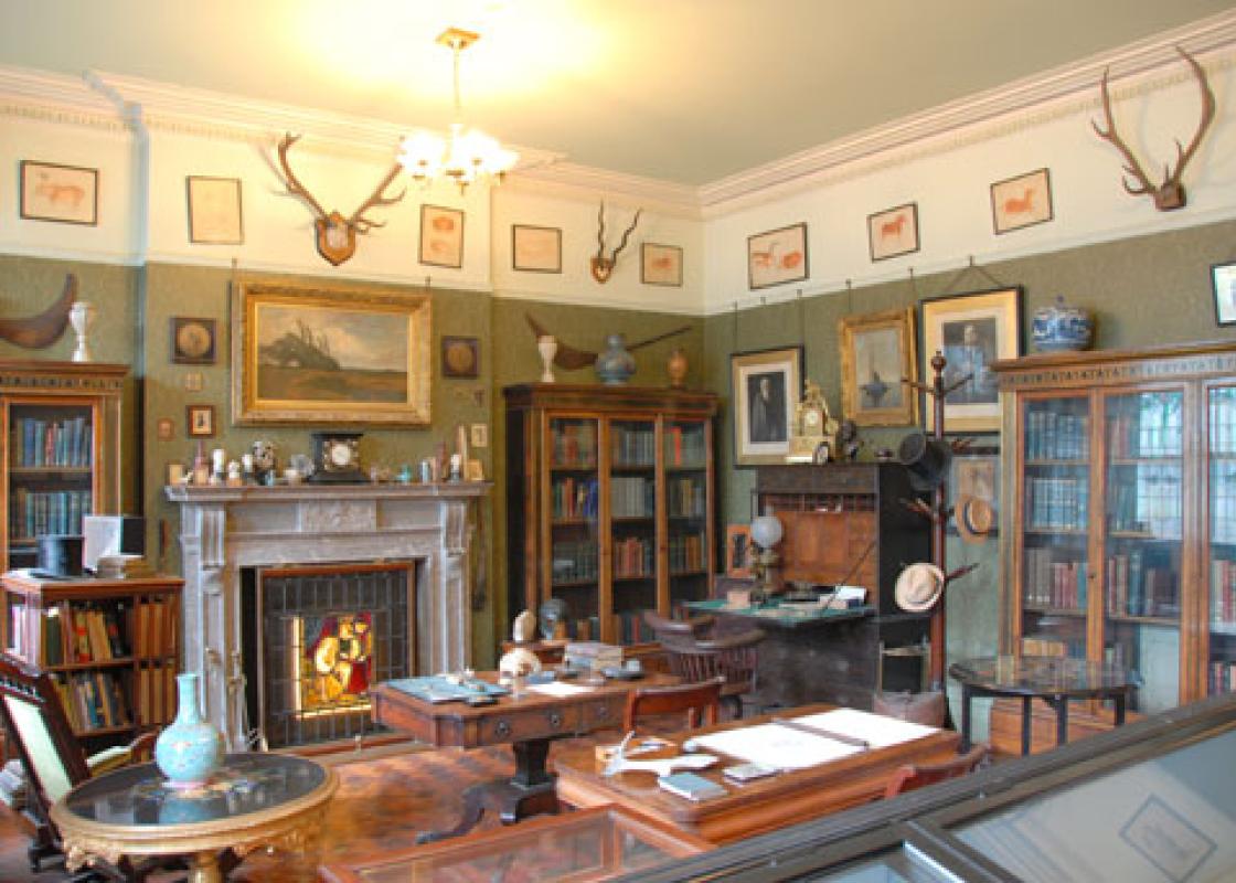 Image 1