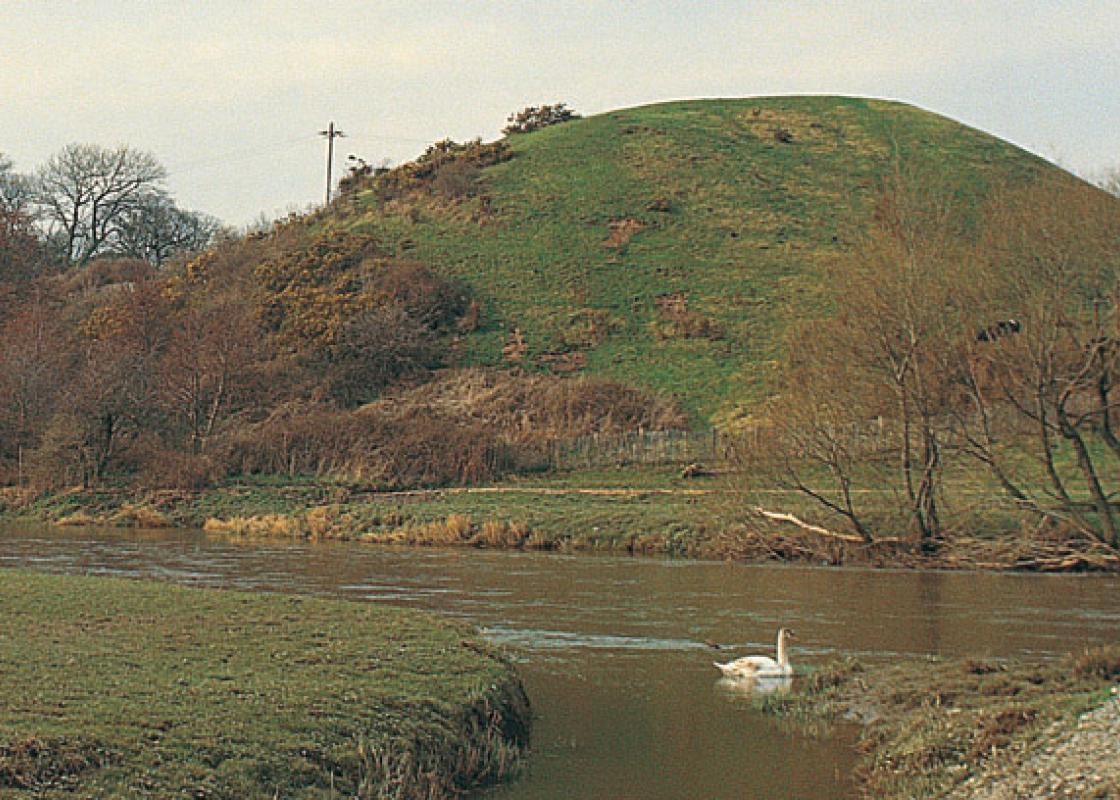Image 1
