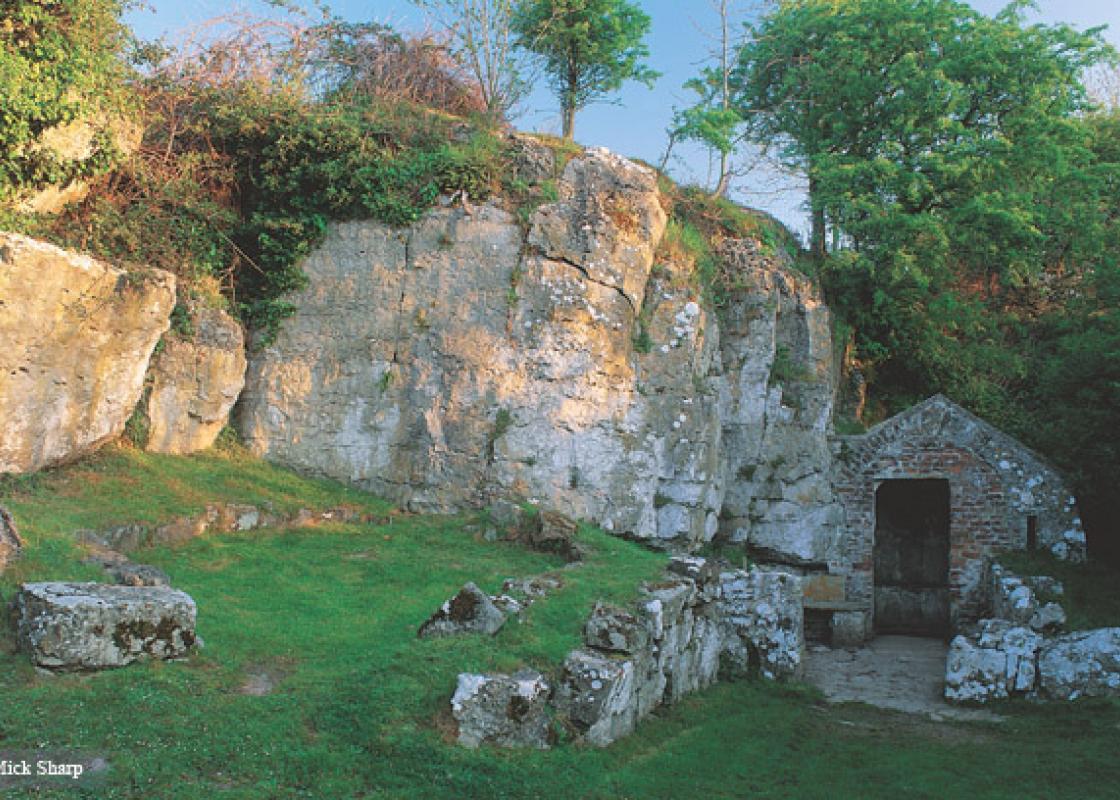 Image 1