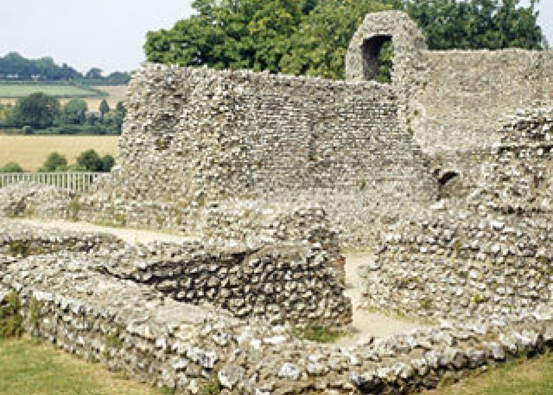 Image 1