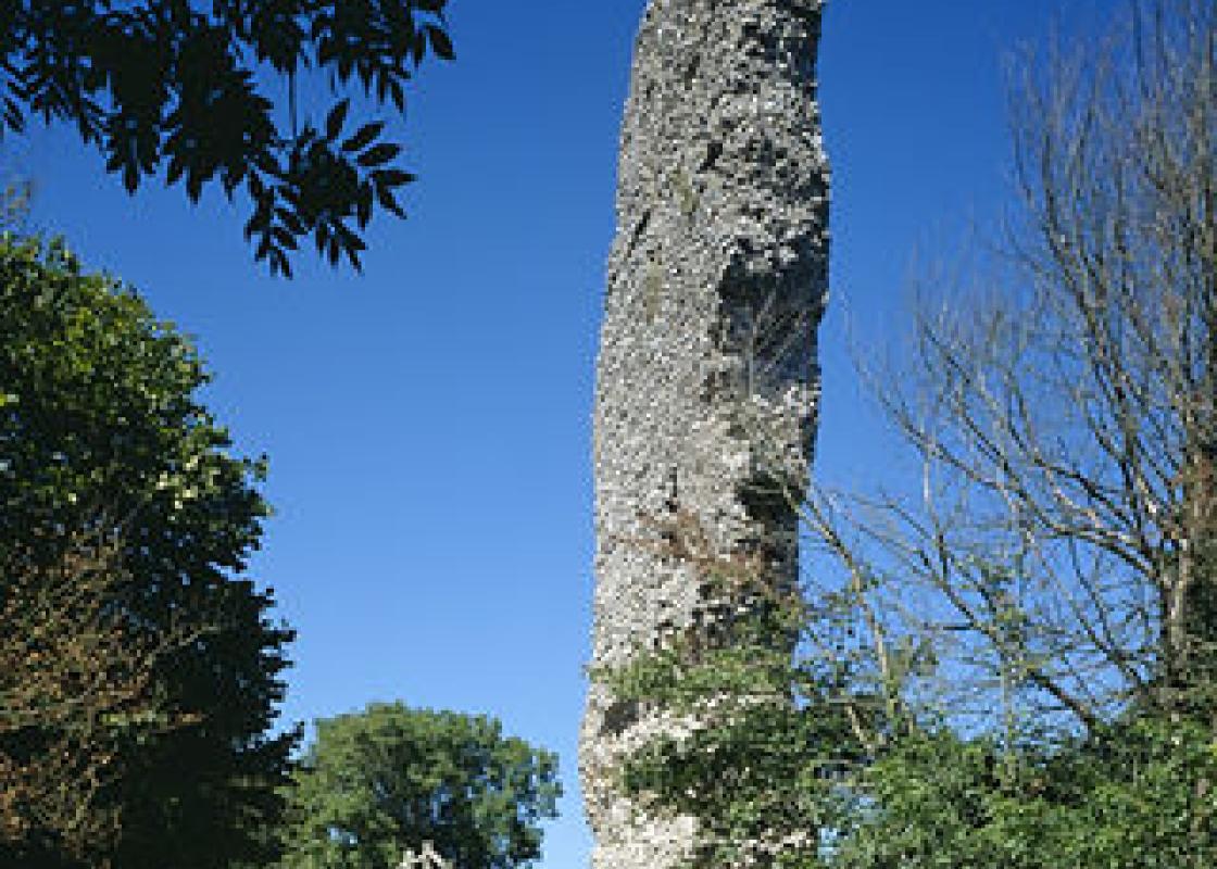 Image 1
