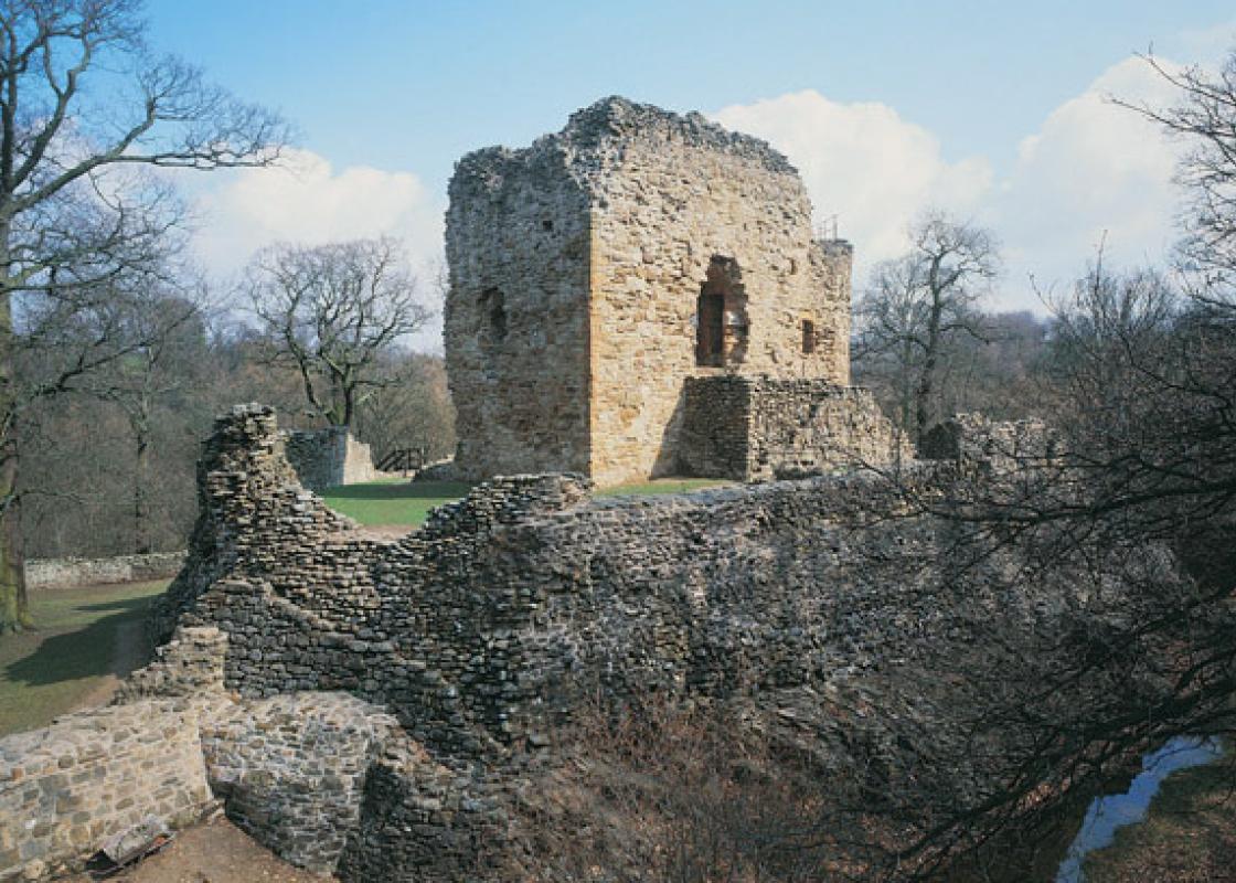 Image 1